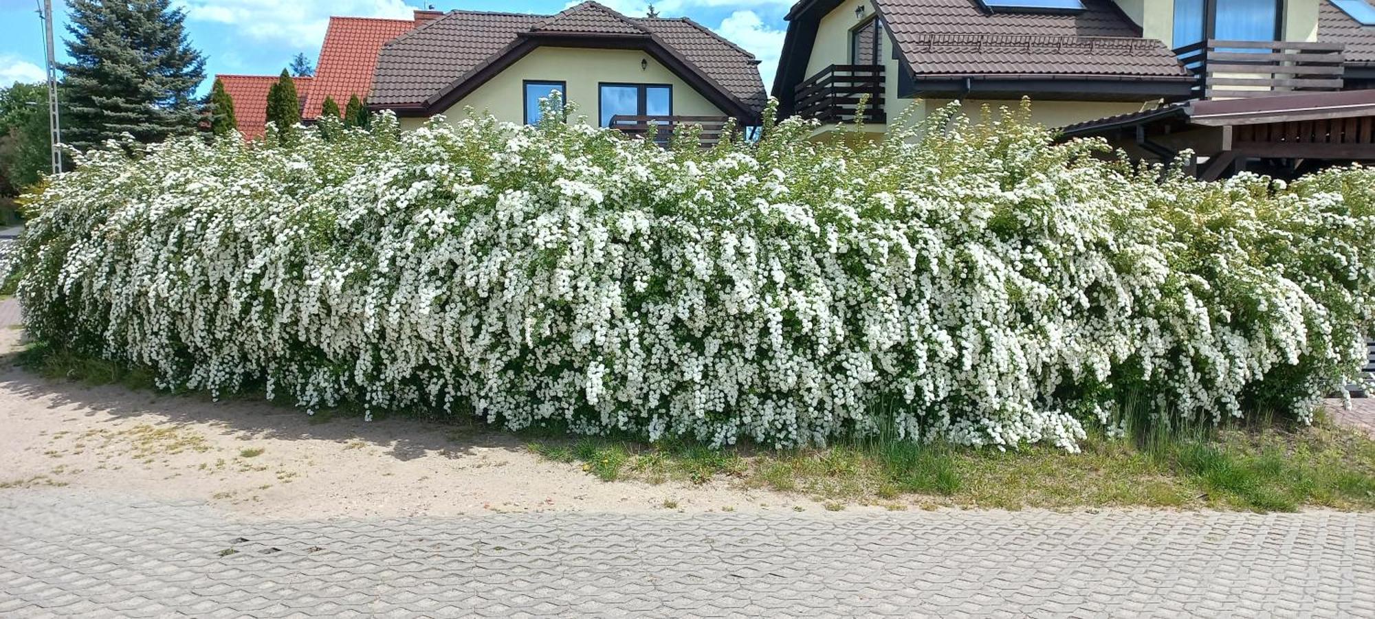 Apartament Sloneczny Gdańsk Exterior foto